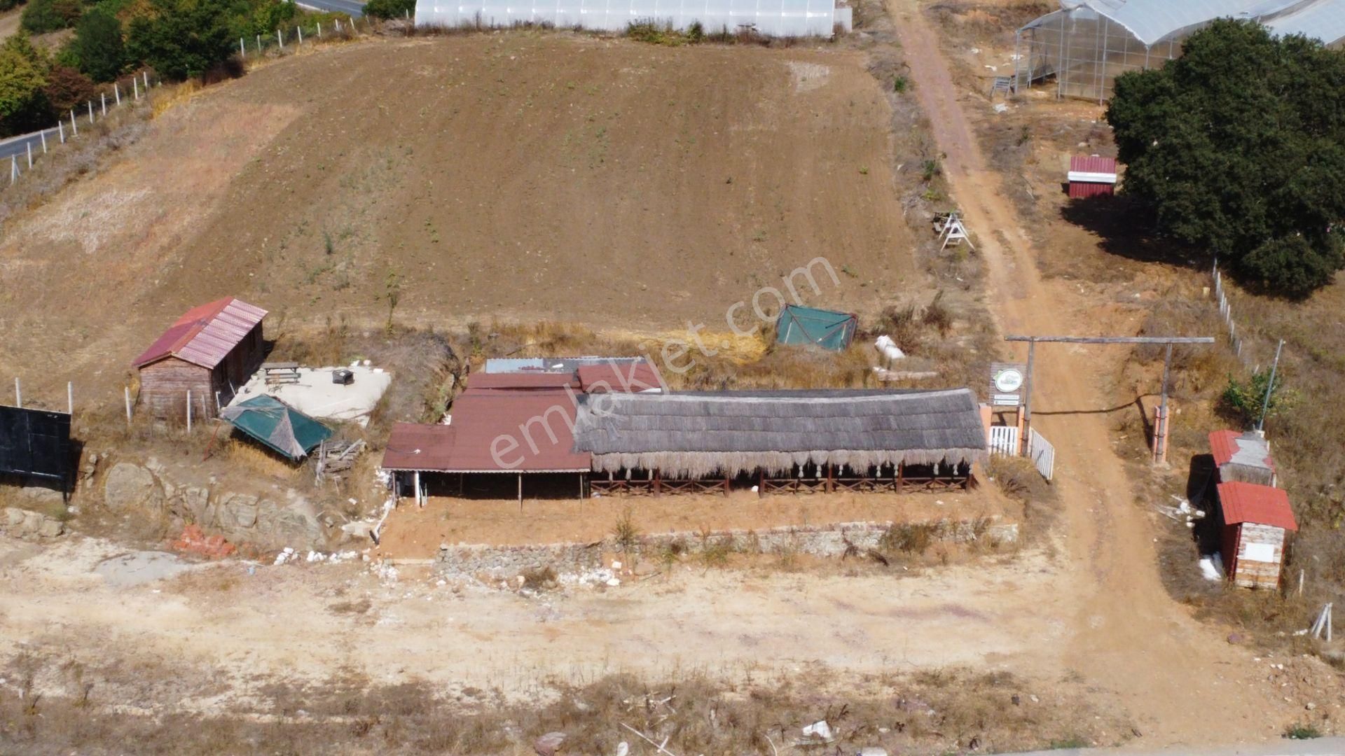 Kandıra'da 13 Dönüm Arazi; Kahvaltı Salonu, Sera Ve Ahırları Olan Fırsat Çiftlik - Görsel 16