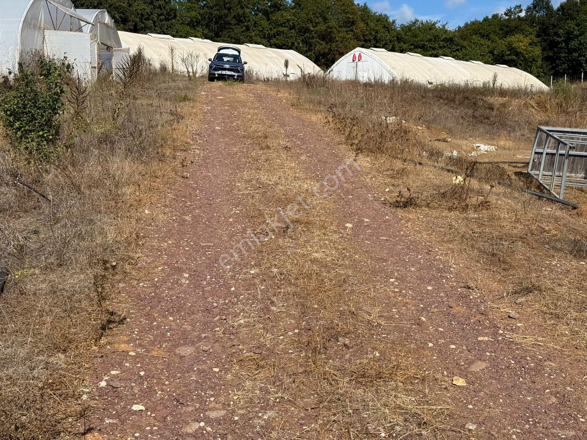 Kandıra'da 13 Dönüm Arazi; Kahvaltı Salonu, Sera Ve Ahırları Olan Fırsat Çiftlik - Görsel 22