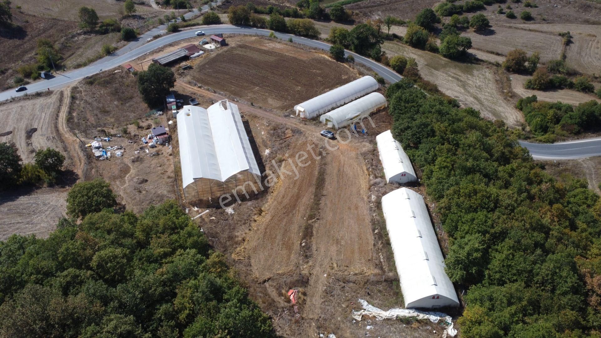 Kandıra'da 13 Dönüm Arazi; Kahvaltı Salonu, Sera Ve Ahırları Olan Fırsat Çiftlik - Görsel 4