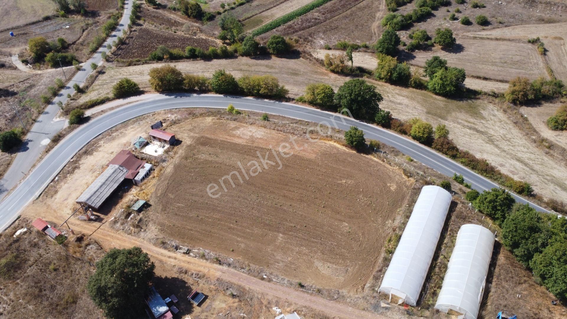 Kandıra'da 13 Dönüm Arazi; Kahvaltı Salonu, Sera Ve Ahırları Olan Fırsat Çiftlik - Görsel 9