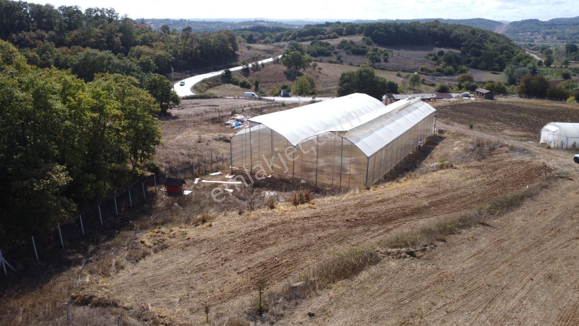 Kandıra'da 13 Dönüm Arazi; Kahvaltı Salonu, Sera Ve Ahırları Olan Fırsat Çiftlik - Görsel 18