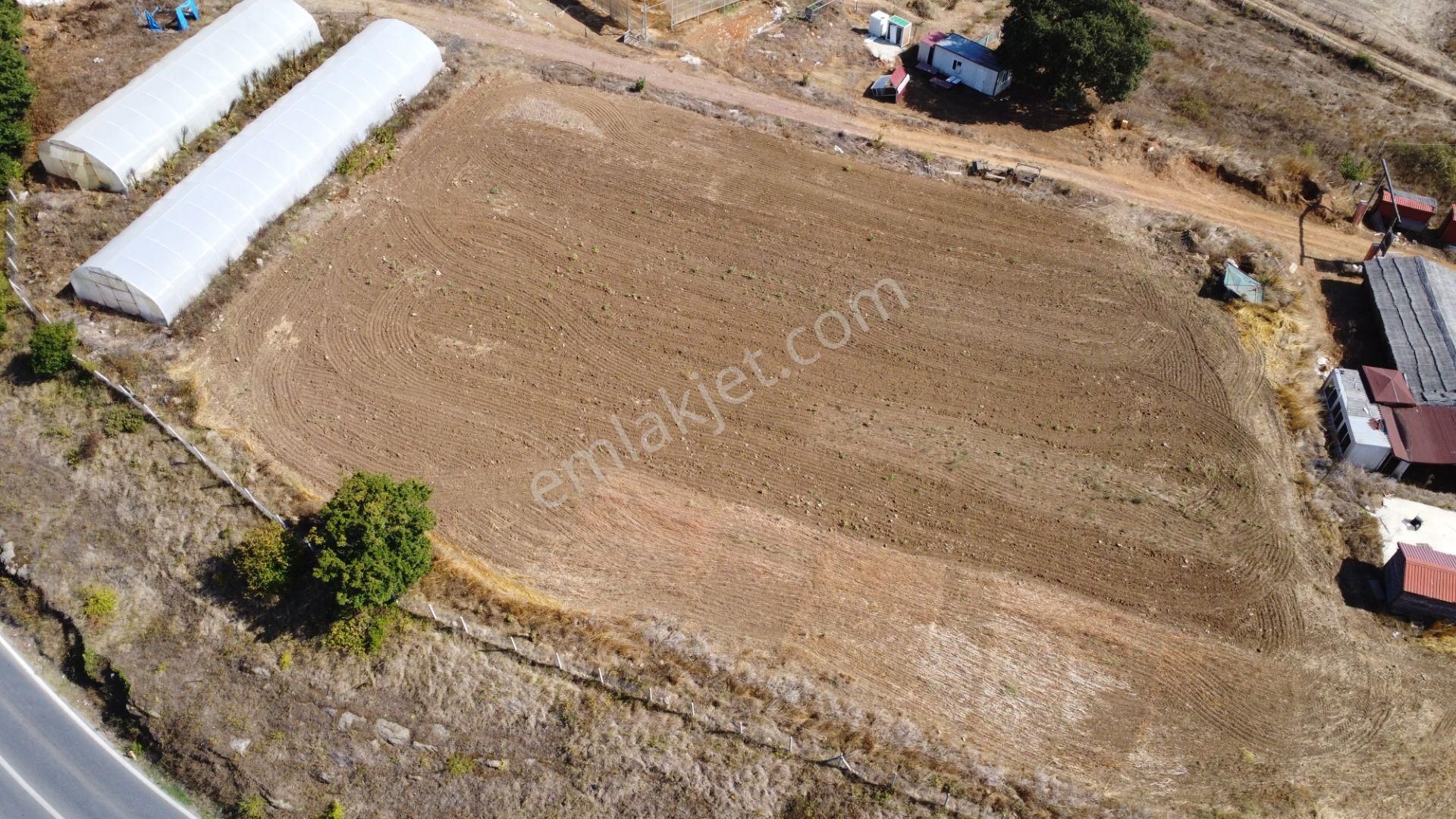 Kandıra'da 13 Dönüm Arazi; Kahvaltı Salonu, Sera Ve Ahırları Olan Fırsat Çiftlik - Görsel 11