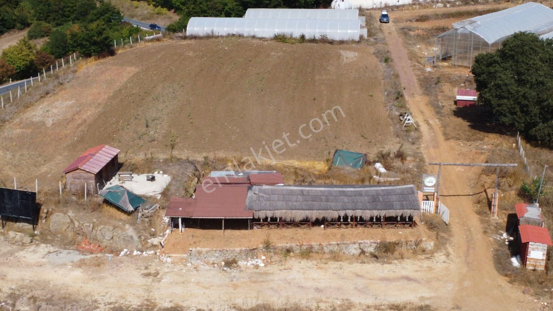 Kandıra'da 13 Dönüm Arazi; Kahvaltı Salonu, Sera Ve Ahırları Olan Fırsat Çiftlik - Görsel 17