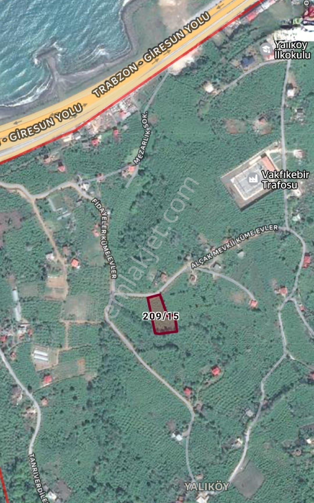 Vakfıkebir Yalıköy’de Satılık Arsa + Fındıklık | 1.637 M², Yola Cepheli, Düz Arazi - Görsel 3