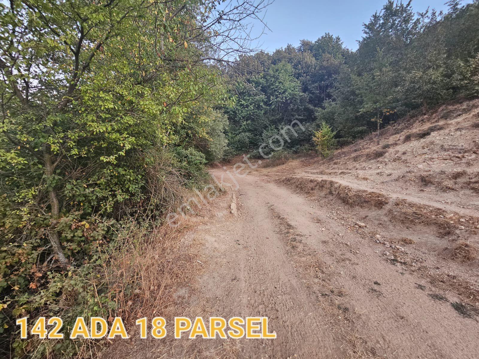 Sevgim'den Bilecik Ortaca'da Kelepir Satılık Tarlalar - Görsel 18