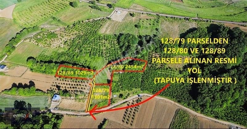 Resmi Yollu Fırsat Tarla