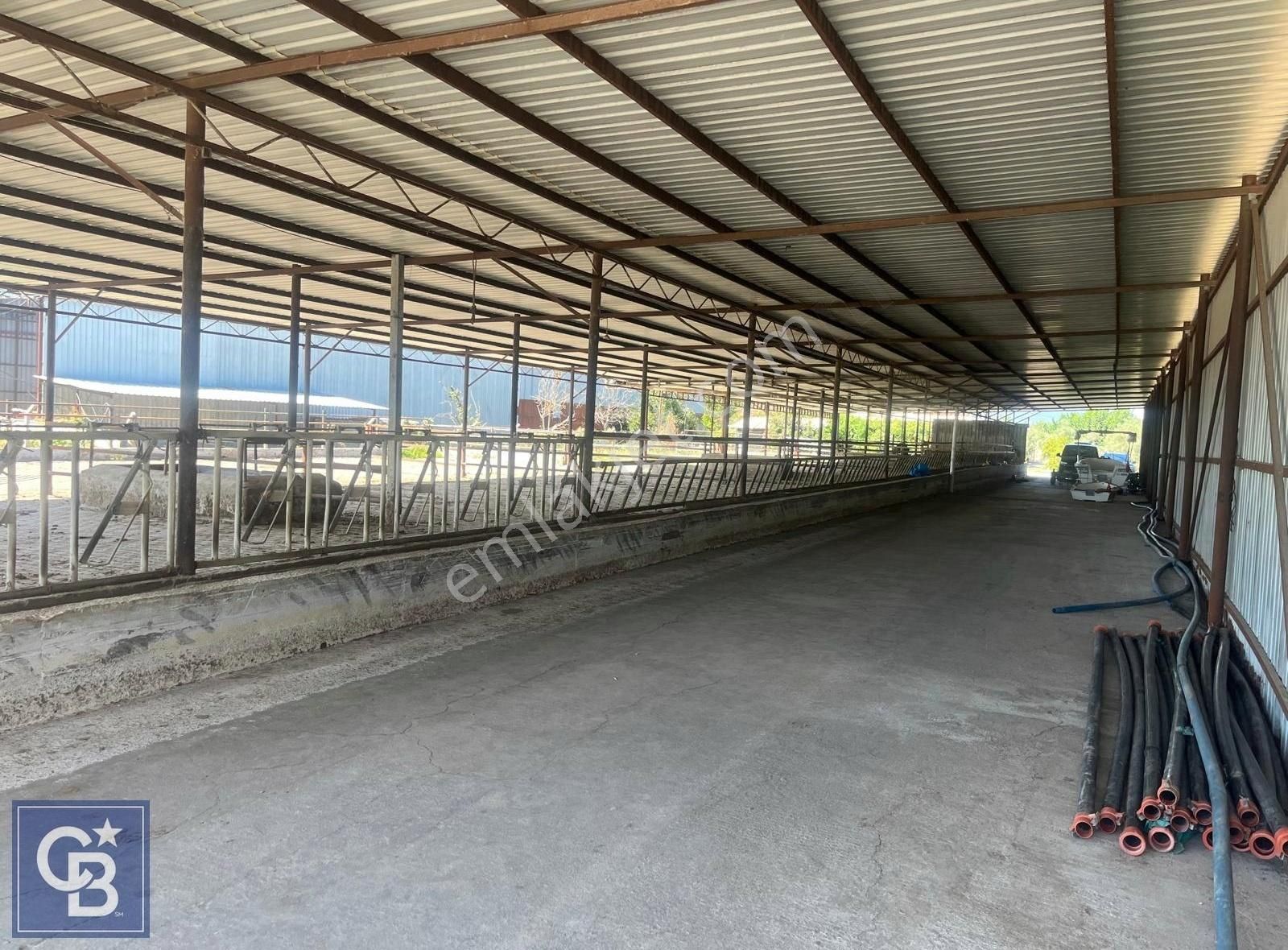 İzmir Kınık Yayakent'de Acil Satılık Çiftlik - Görsel 6