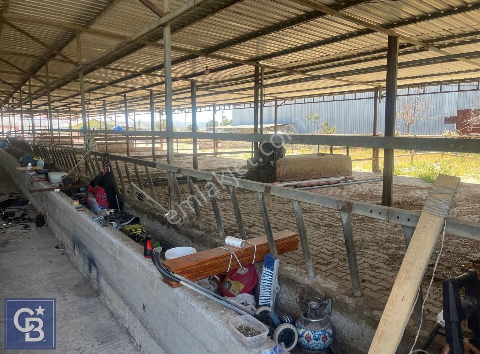 İzmir Kınık Yayakent'de Acil Satılık Çiftlik - Görsel 13