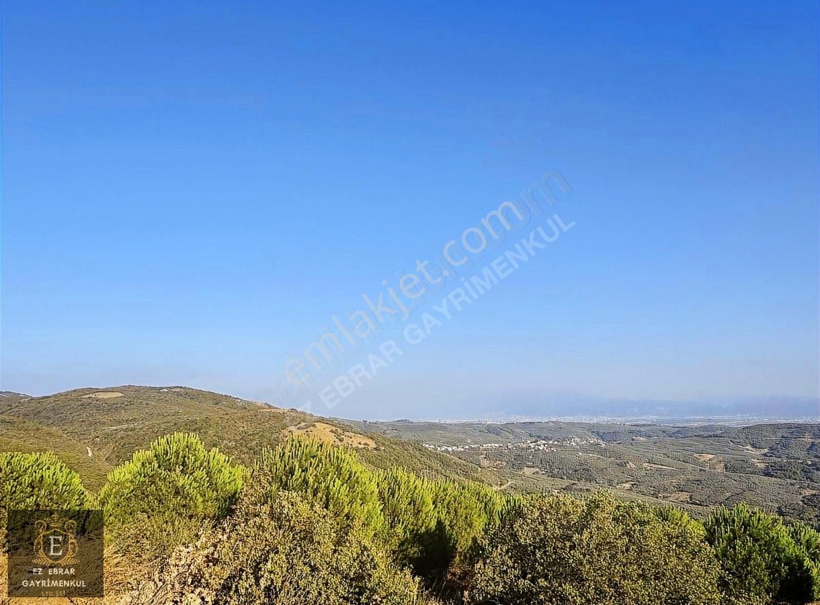 Mudanya Kaymakoba'da Yatırımlık 4000 M2 Arazi