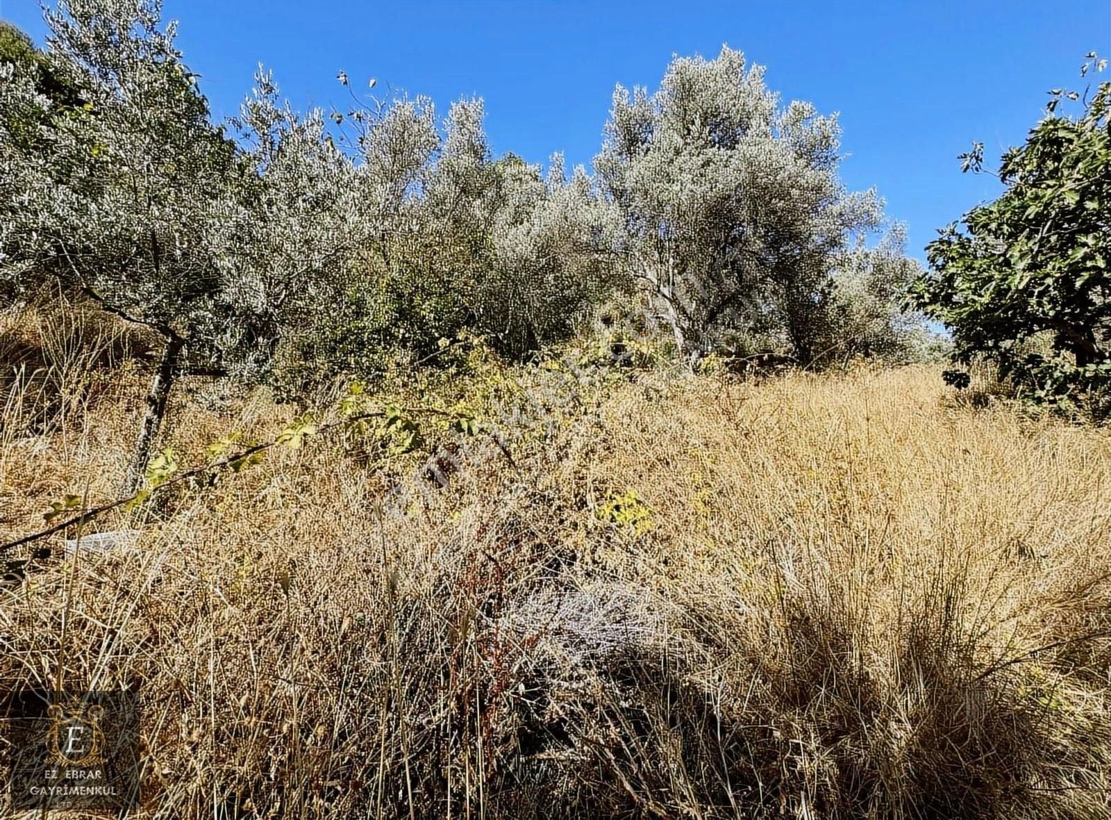 Mudanya Kaymakoba'da 600 M2 , Köy İçi Yatırımlık Arazi - Görsel 10