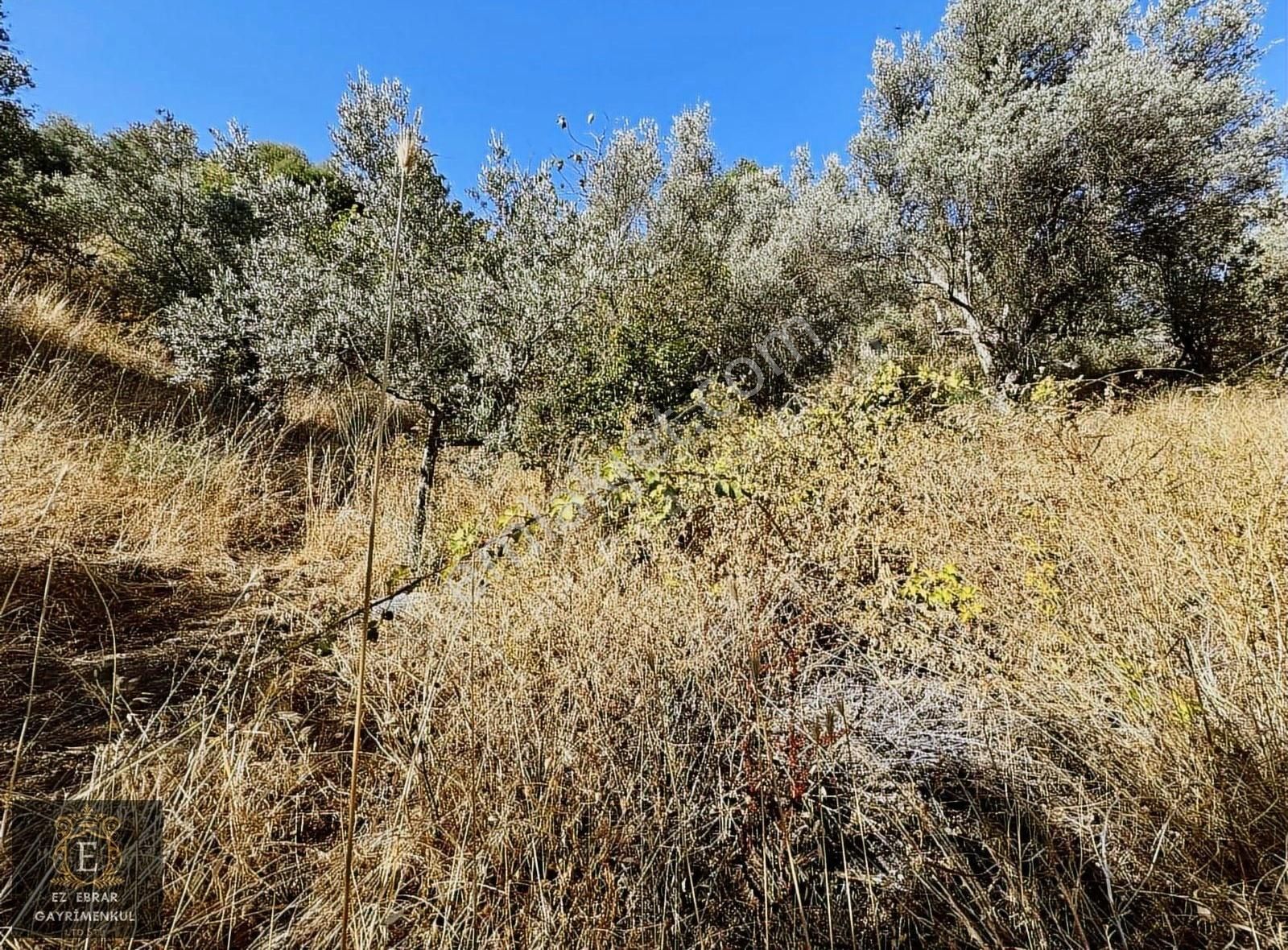 Mudanya Kaymakoba'da 600 M2 , Köy İçi Yatırımlık Arazi - Görsel 13