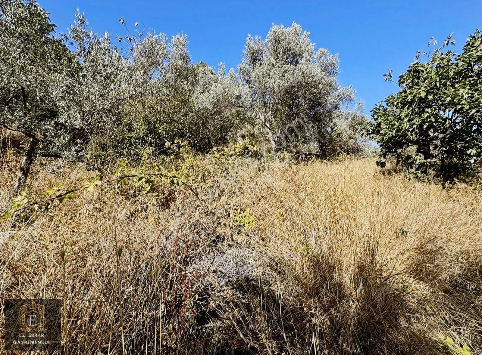 Mudanya Kaymakoba'da 600 M2 , Köy İçi Yatırımlık Arazi - Görsel 22