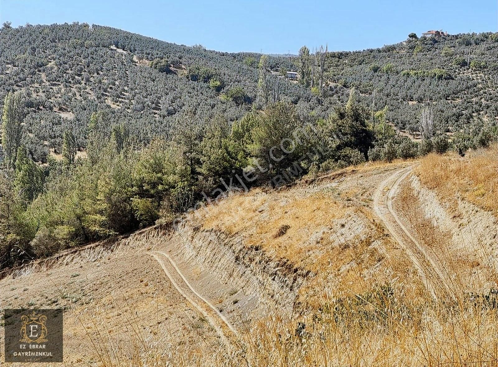 Mudanya İpekyayla'da 2000 M2, Yatırımlık Arazi - Görsel 29