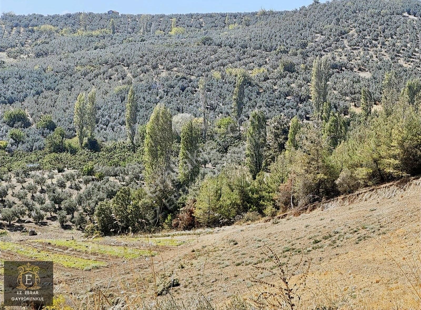 Mudanya İpekyayla'da 2000 M2, Yatırımlık Arazi - Görsel 3