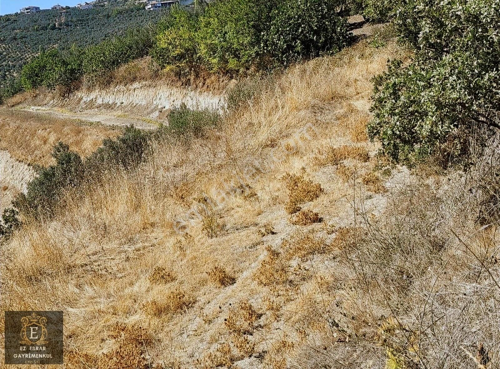 Mudanya İpekyayla'da 2000 M2, Yatırımlık Arazi - Görsel 27
