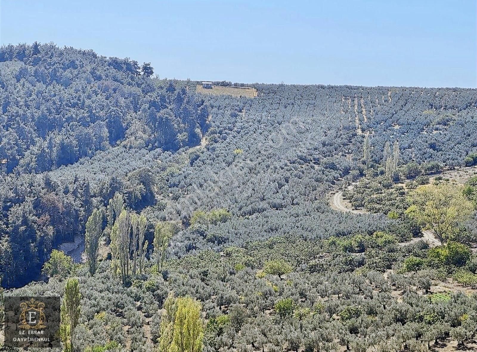 Mudanya İpekyayla'da 2000 M2, Yatırımlık Arazi - Görsel 16