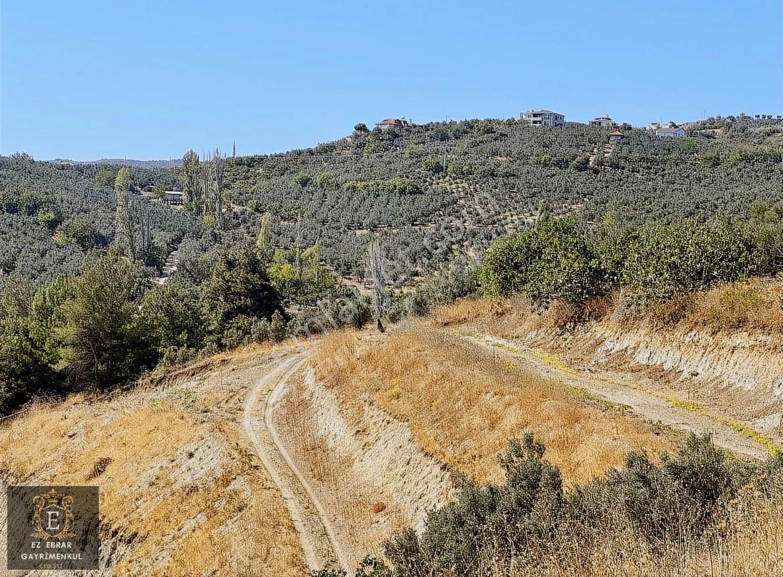 Mudanya İpekyayla'da 2000 M2, Yatırımlık Arazi - Görsel 19