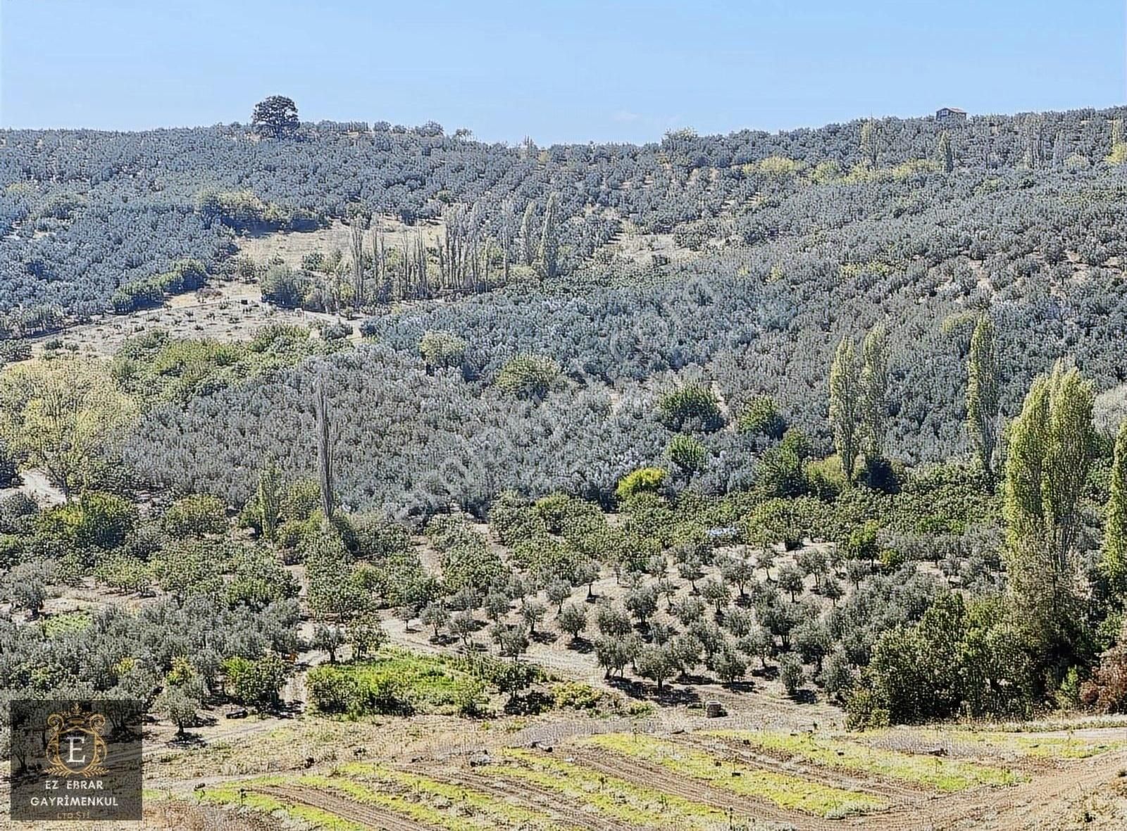 Mudanya İpekyayla'da 2000 M2, Yatırımlık Arazi - Görsel 2