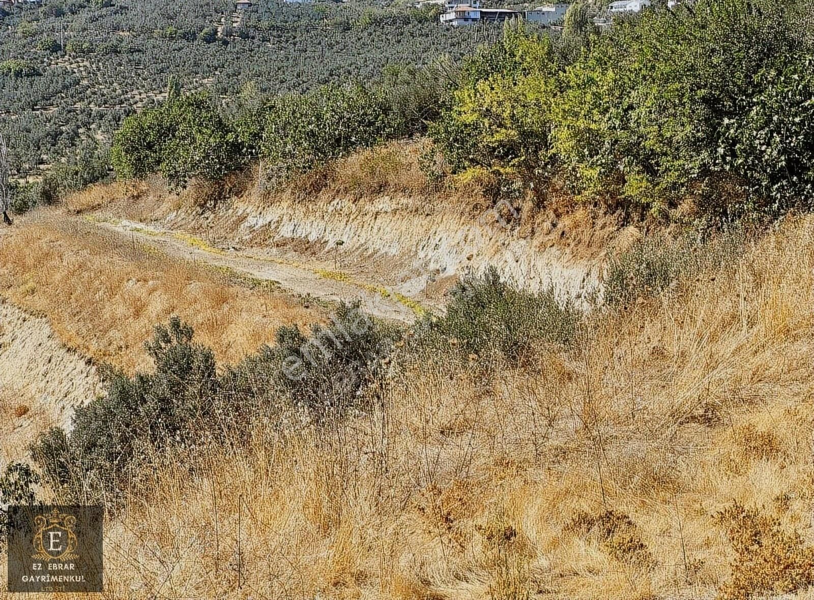 Mudanya İpekyayla'da 2000 M2, Yatırımlık Arazi - Görsel 10