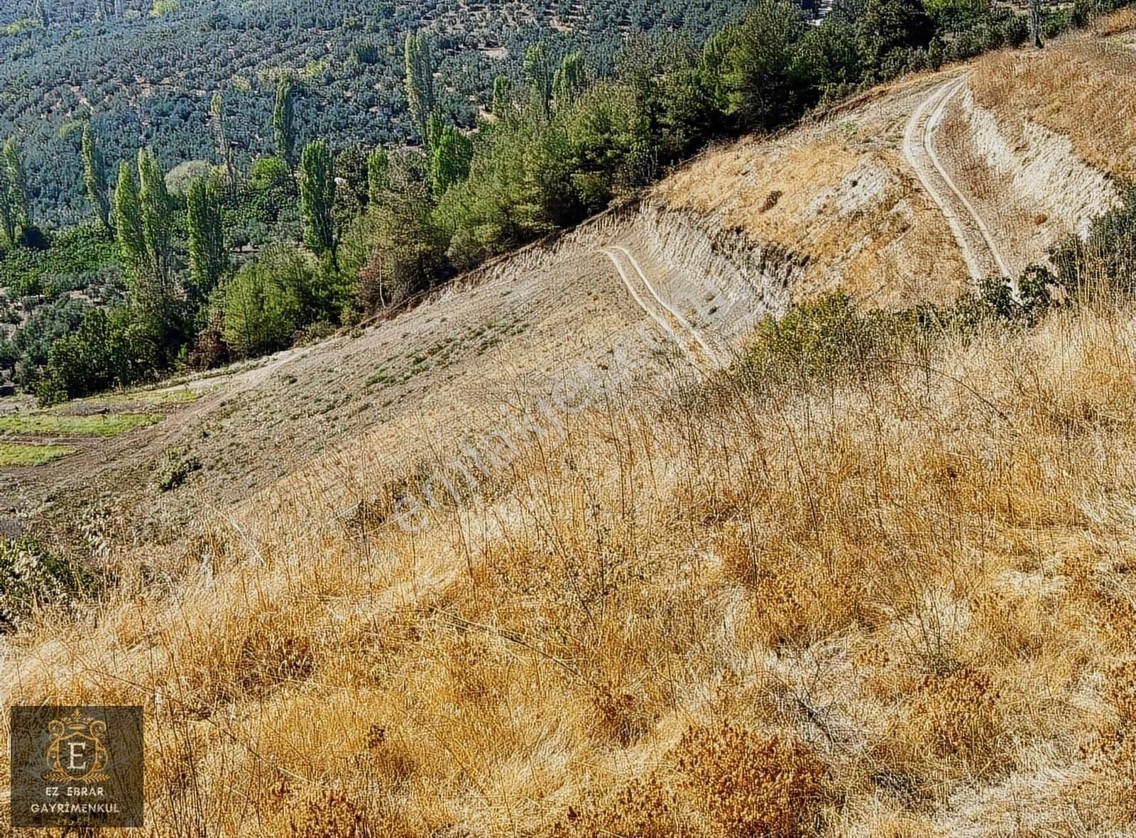 Mudanya İpekyayla'da 2000 M2, Yatırımlık Arazi - Görsel 23