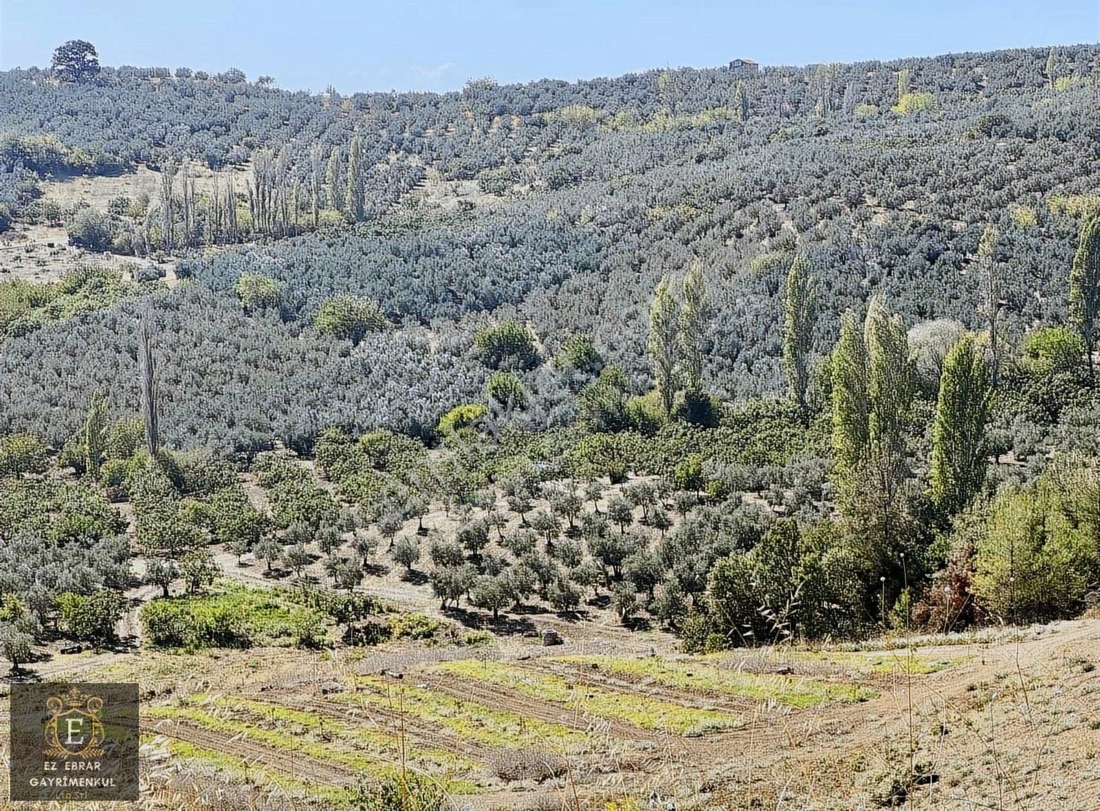 Mudanya İpekyayla'da 2000 M2, Yatırımlık Arazi - Görsel 11