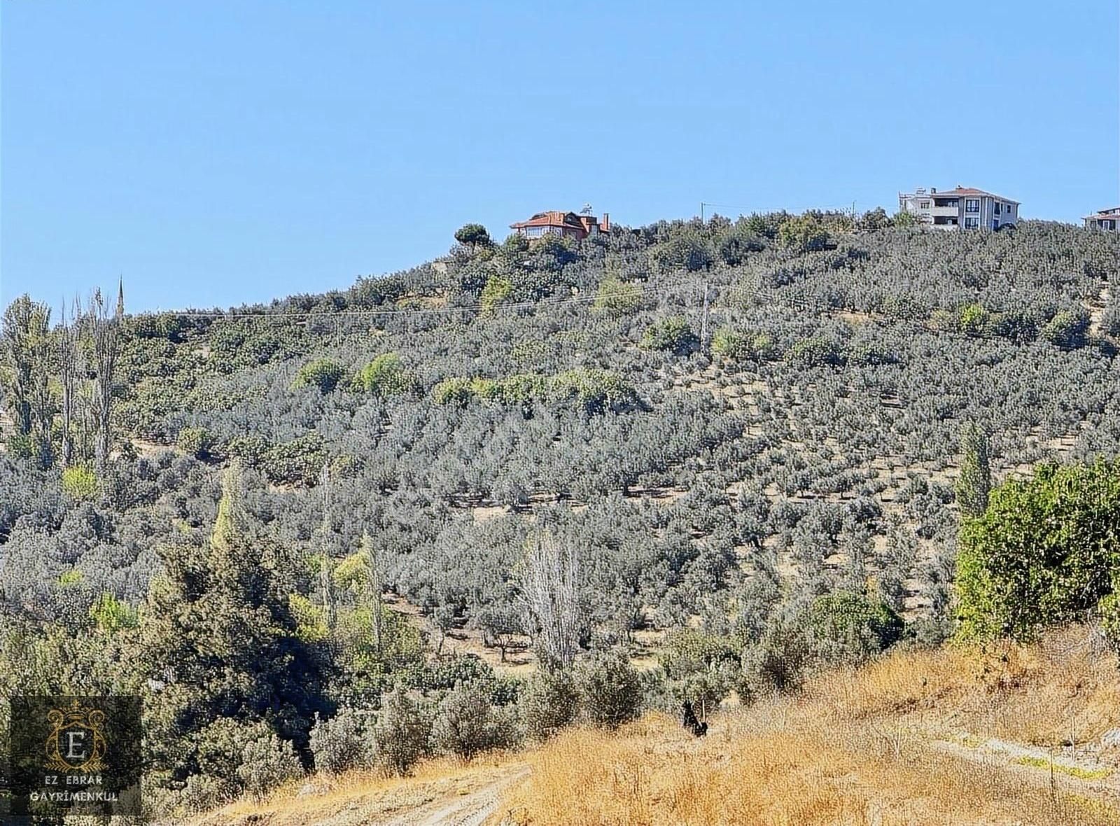 Mudanya İpekyayla'da 2000 M2, Yatırımlık Arazi - Görsel 31