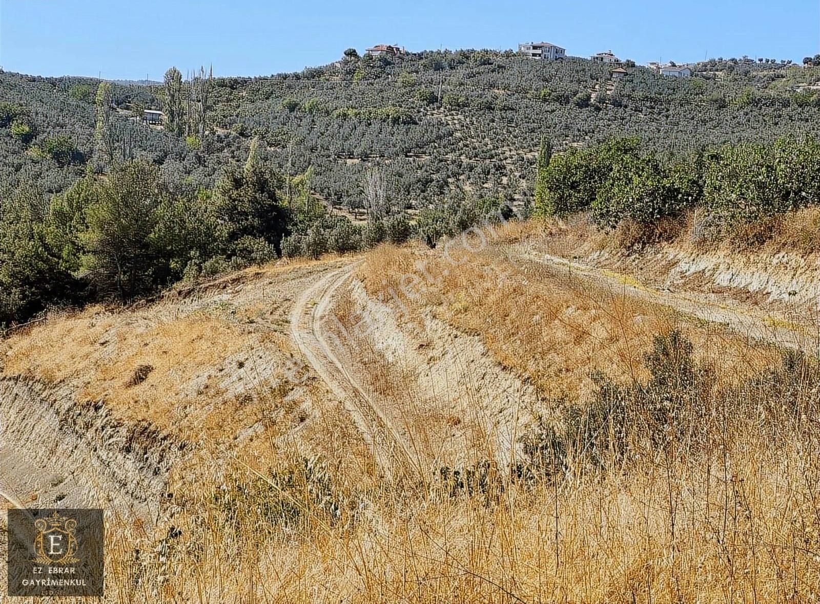 Mudanya İpekyayla'da 2000 M2, Yatırımlık Arazi - Görsel 7