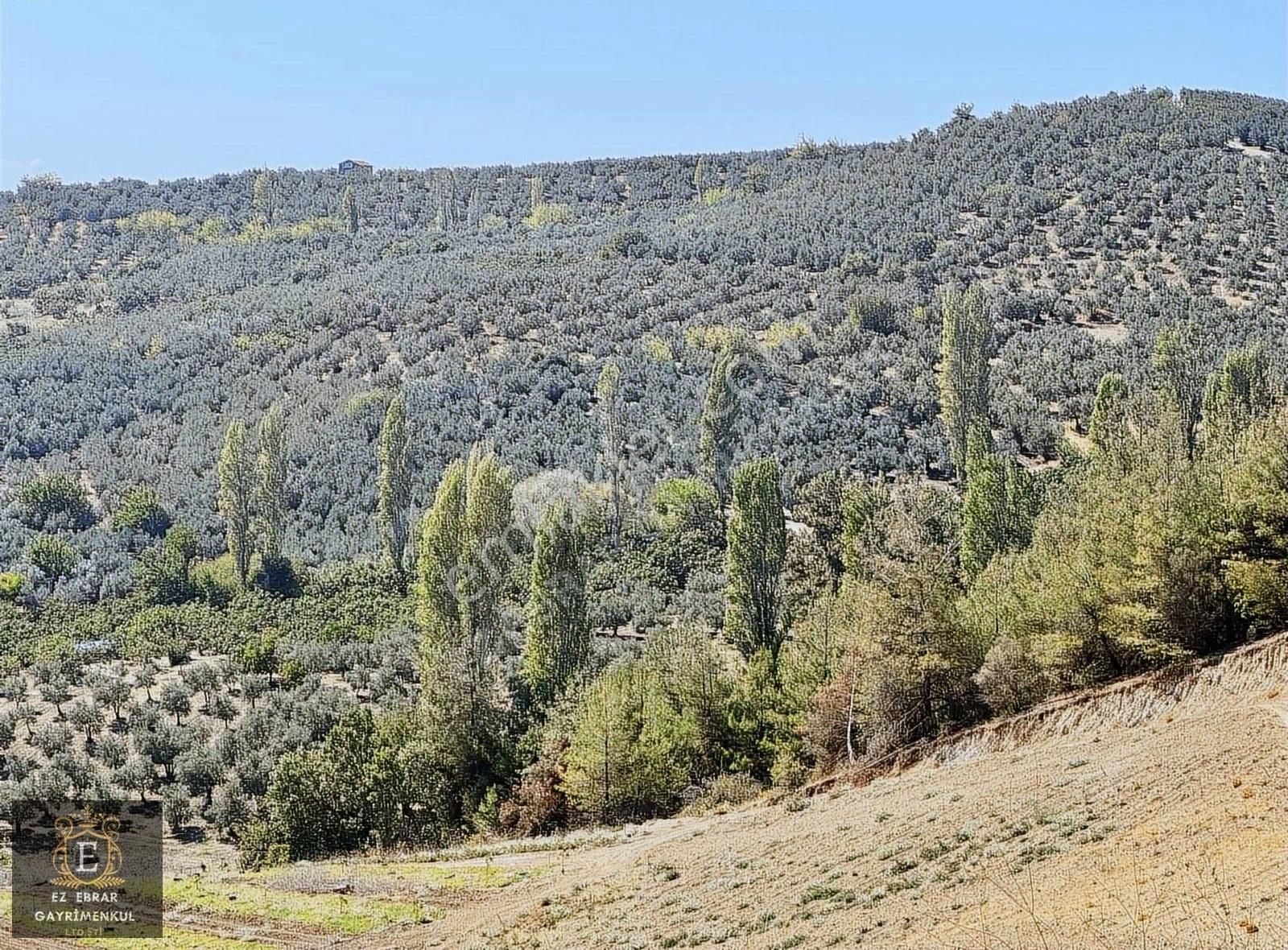 Mudanya İpekyayla'da 2000 M2, Yatırımlık Arazi - Görsel 4
