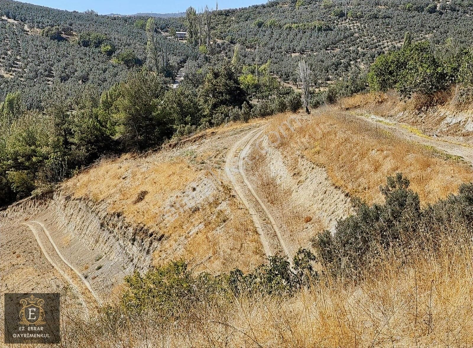 Mudanya İpekyayla'da 2000 M2, Yatırımlık Arazi - Görsel 28