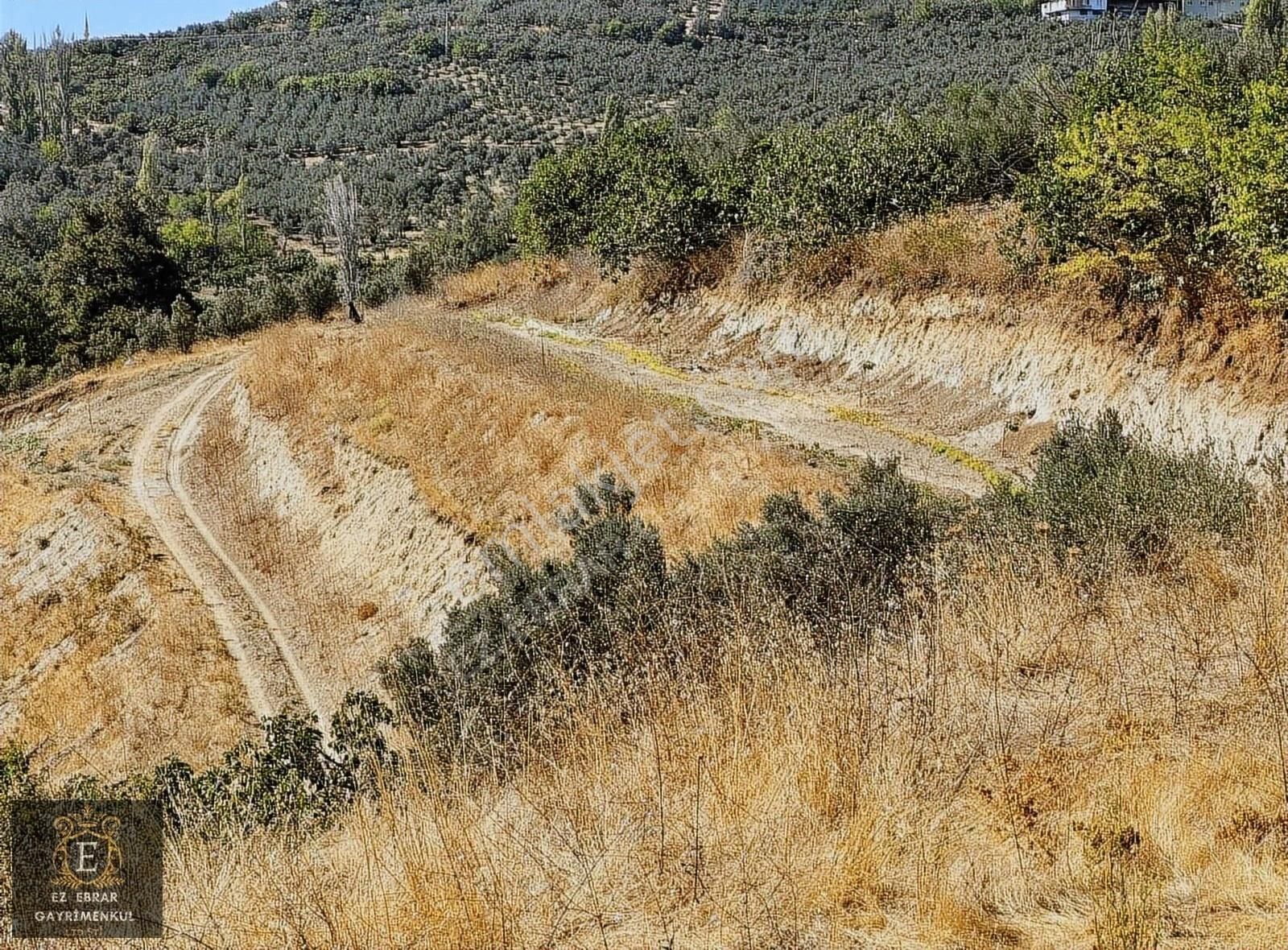 Mudanya İpekyayla'da 2000 M2, Yatırımlık Arazi - Görsel 24