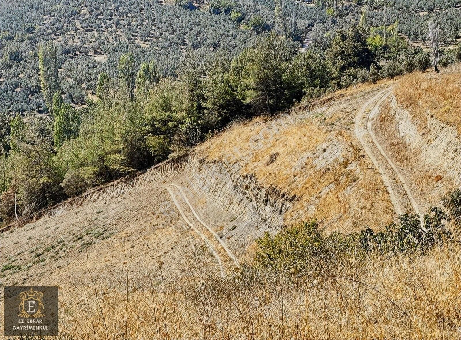 Mudanya İpekyayla'da 2000 M2, Yatırımlık Arazi - Görsel 30