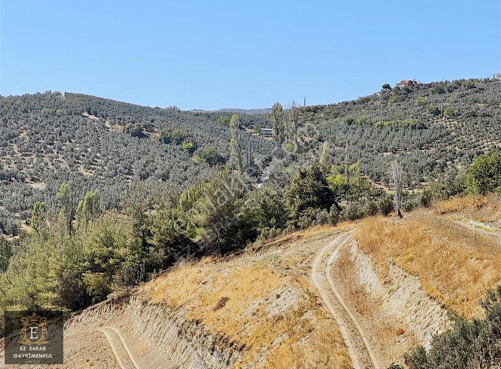 Mudanya İpekyayla'da 2000 M2, Yatırımlık Arazi - Görsel 22