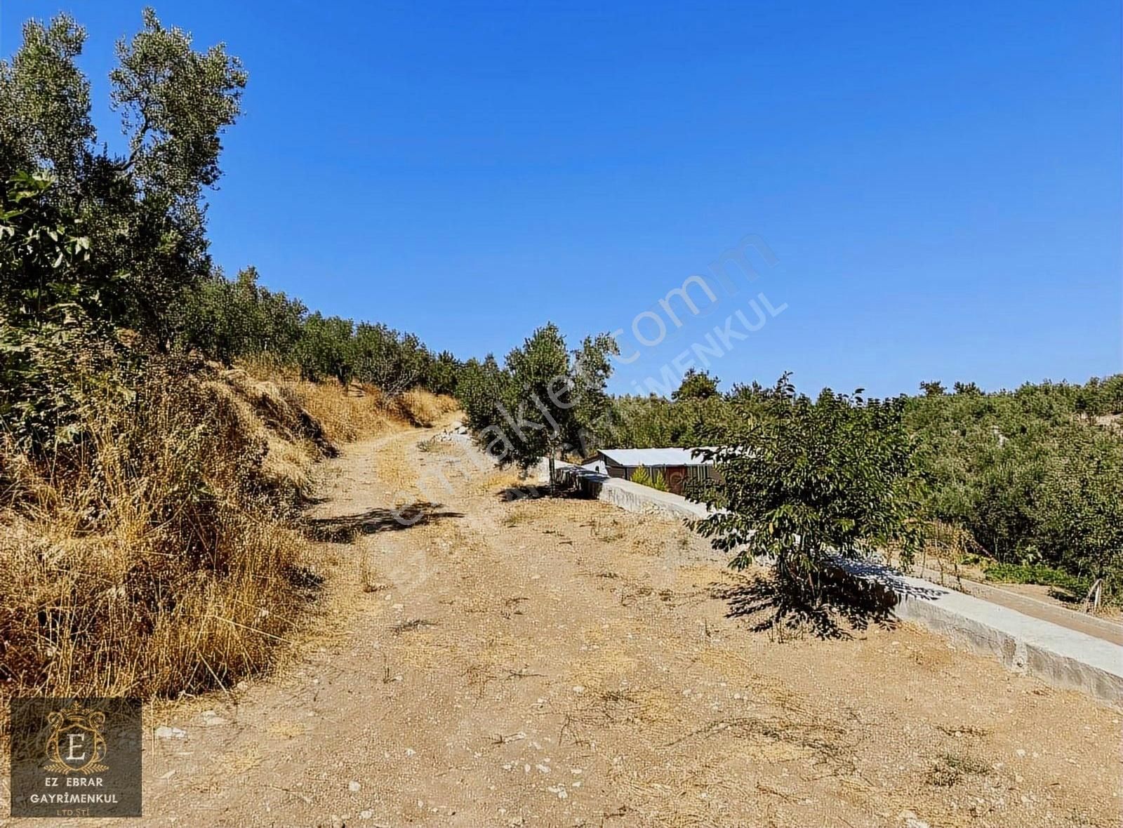 Mudanya Çepni'de 2500 M2, Yatırımlık Arazi - Görsel 5