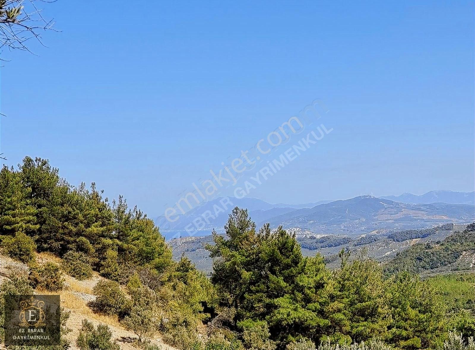 Mudanya Çepni'de 2500 M2, Yatırımlık Arazi - Görsel 20