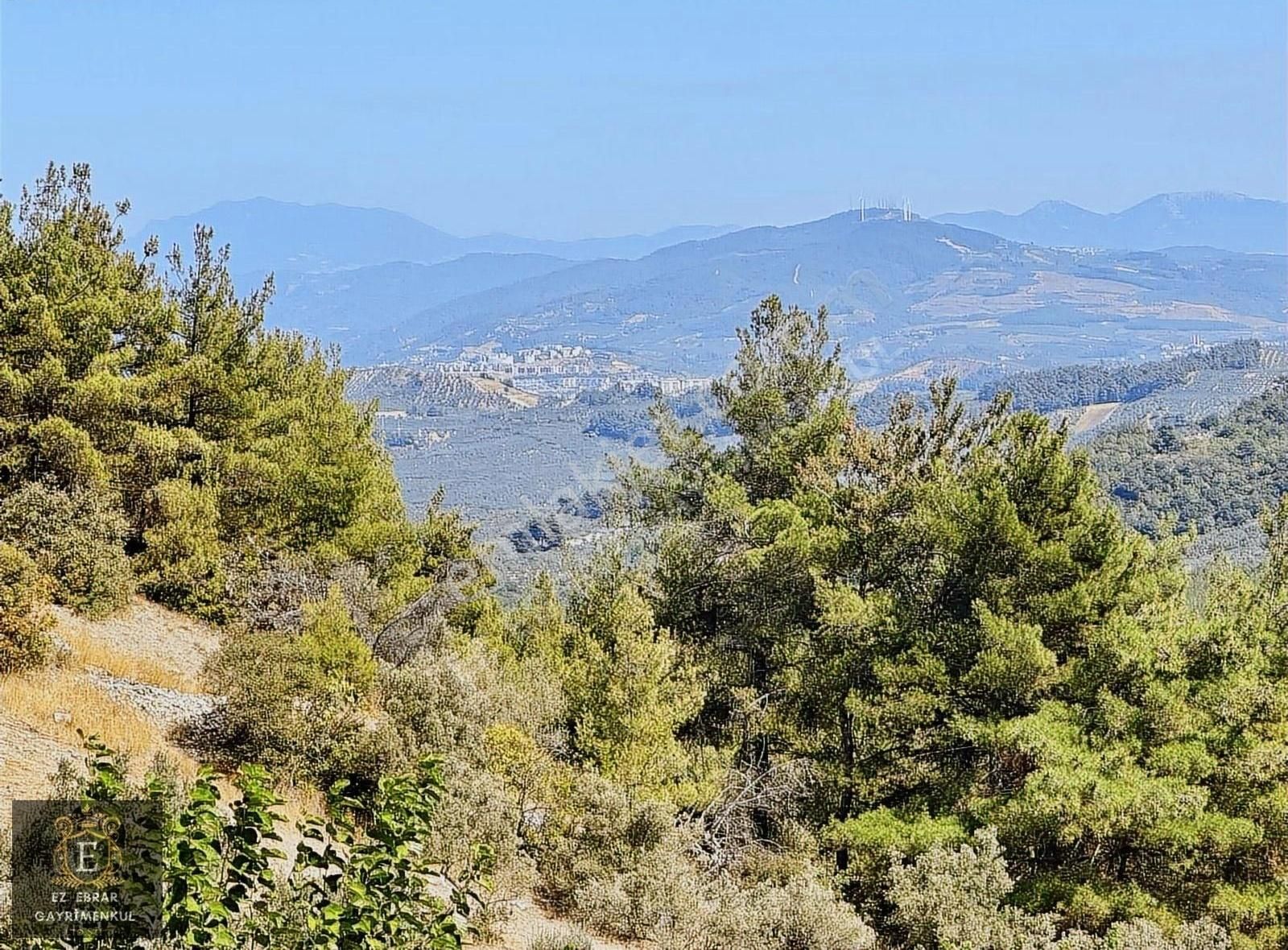 Mudanya Çepni'de 2500 M2, Yatırımlık Arazi - Görsel 27