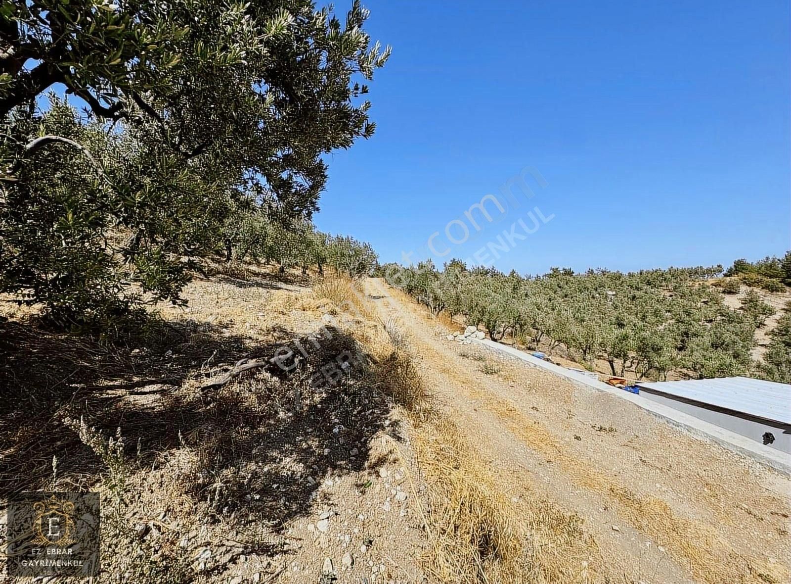 Mudanya Çepni'de 2500 M2, Yatırımlık Arazi - Görsel 3