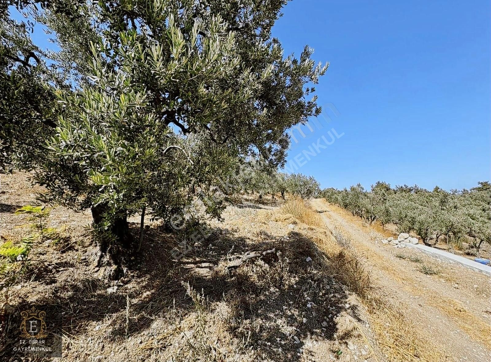 Mudanya Çepni'de 2500 M2, Yatırımlık Arazi - Görsel 16