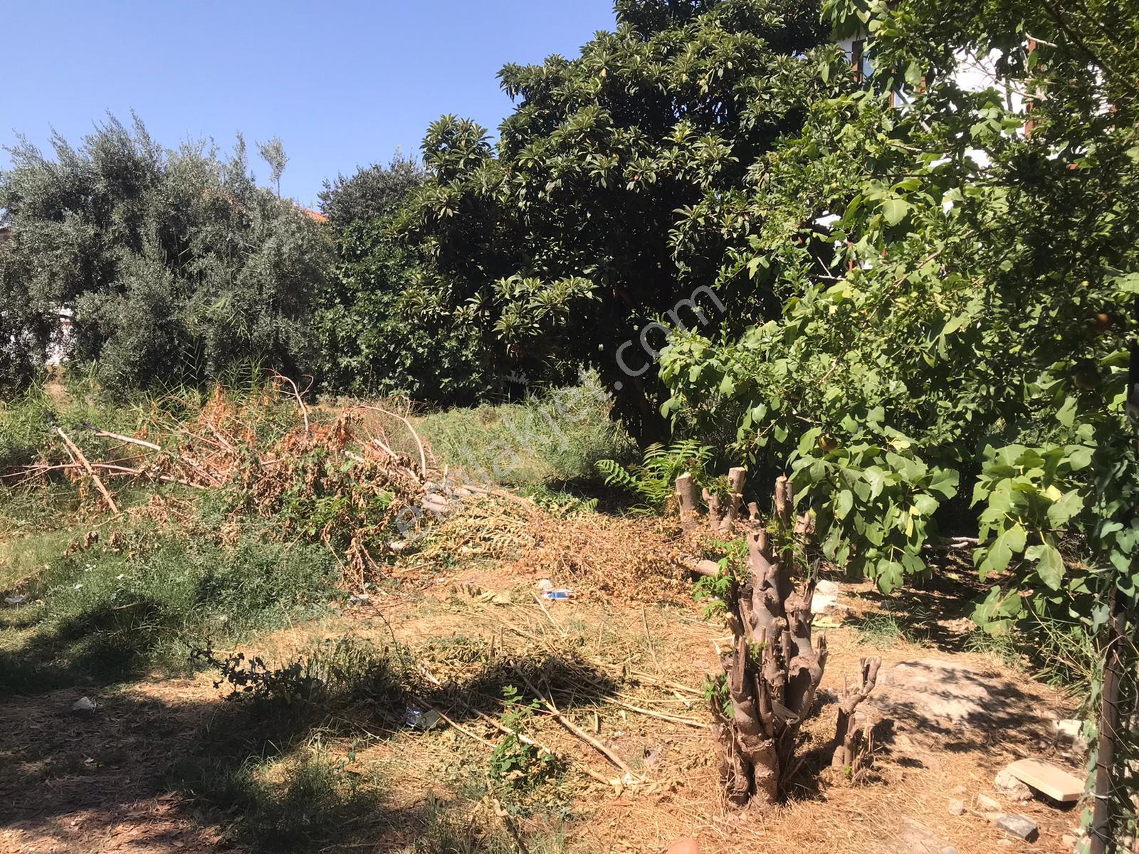 Kaan Emlaktan Park Cepheli İnşaat Ruhsatı Alınmış Arsa - Görsel 9