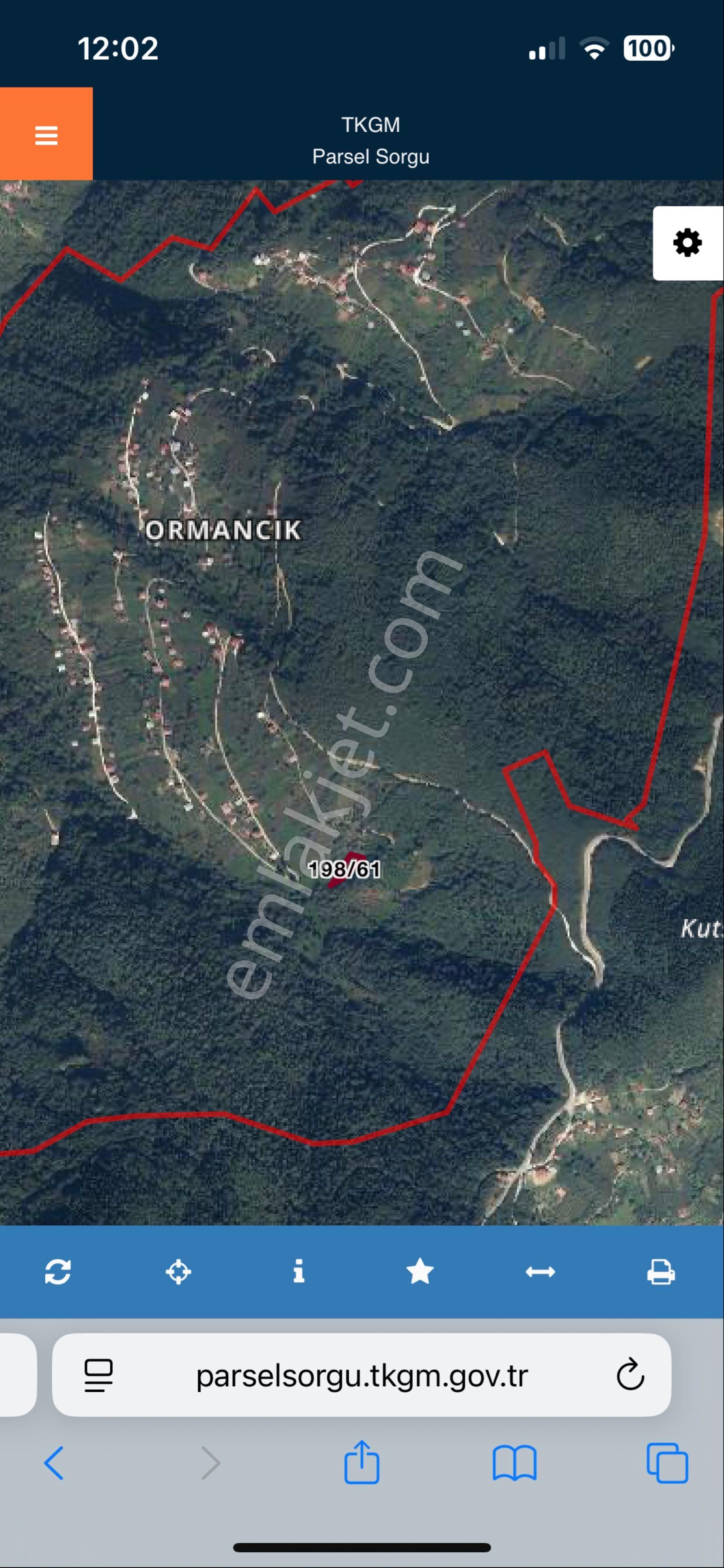 Dernekpazarı Ormancıkta Satılık Çaylık