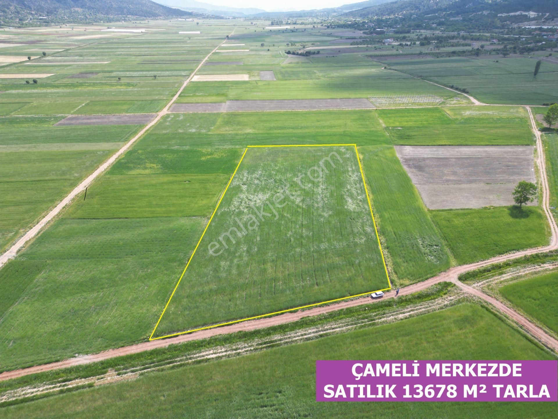 🦋lobby Fortis'ten Satılık Çameli Merkezde Satılık 13678 M² Tarla🦋