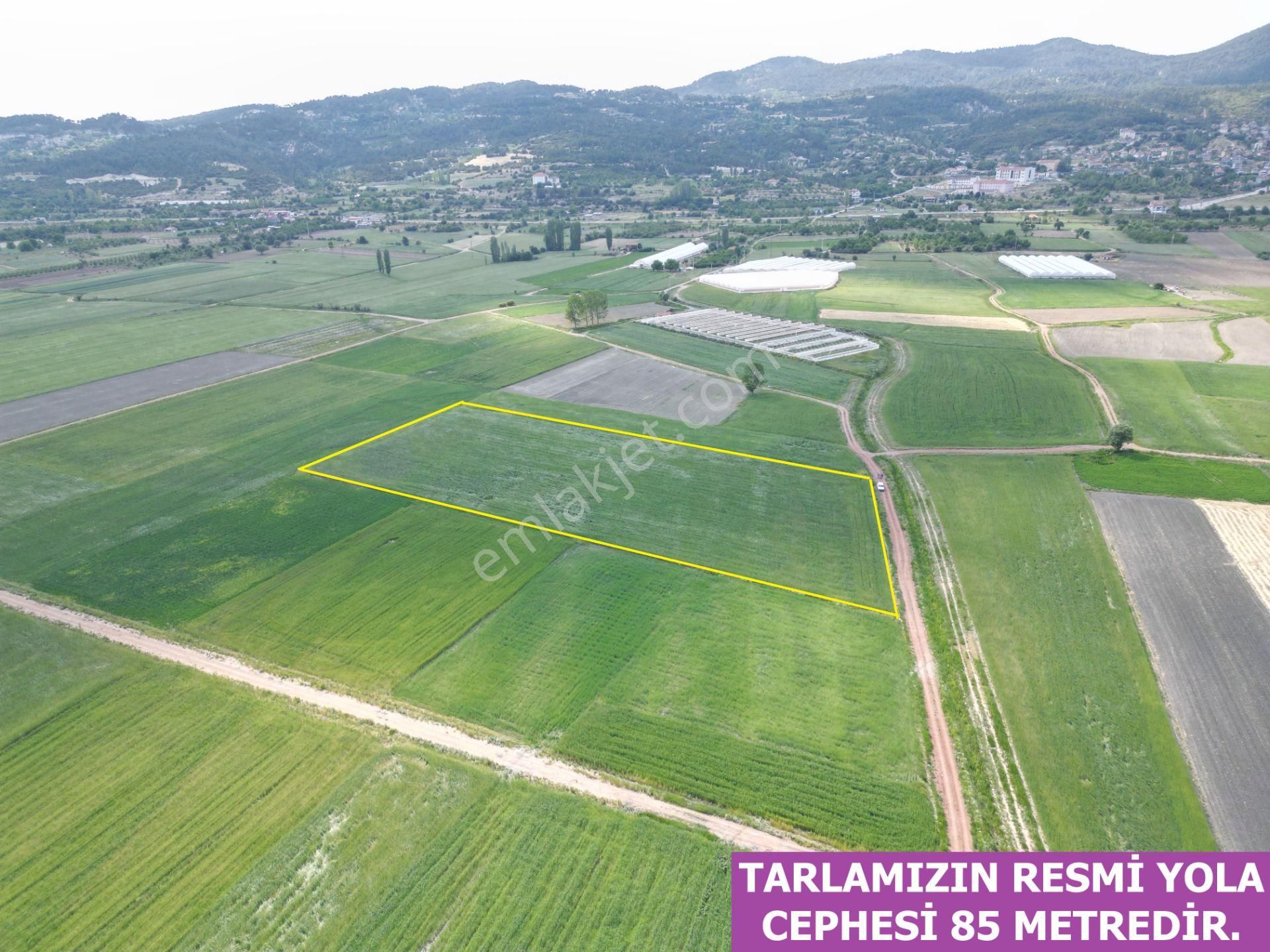 🦋lobby Fortis'ten Satılık Çameli Merkezde Satılık 13678 M² Tarla🦋 - Görsel 5