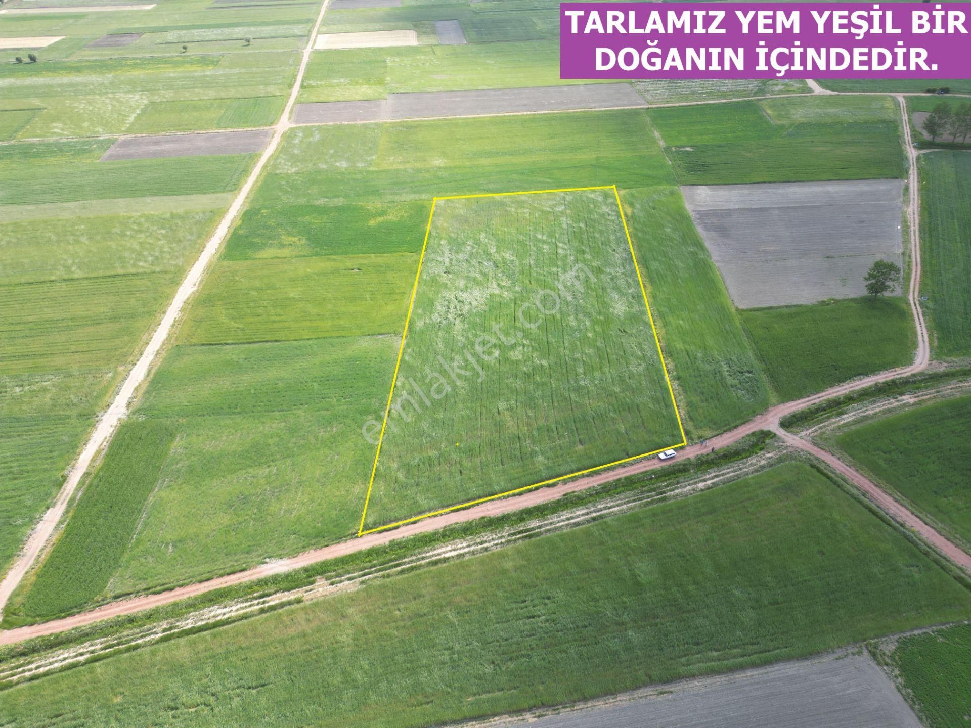 🦋lobby Fortis'ten Satılık Çameli Merkezde Satılık 13678 M² Tarla🦋 - Görsel 6