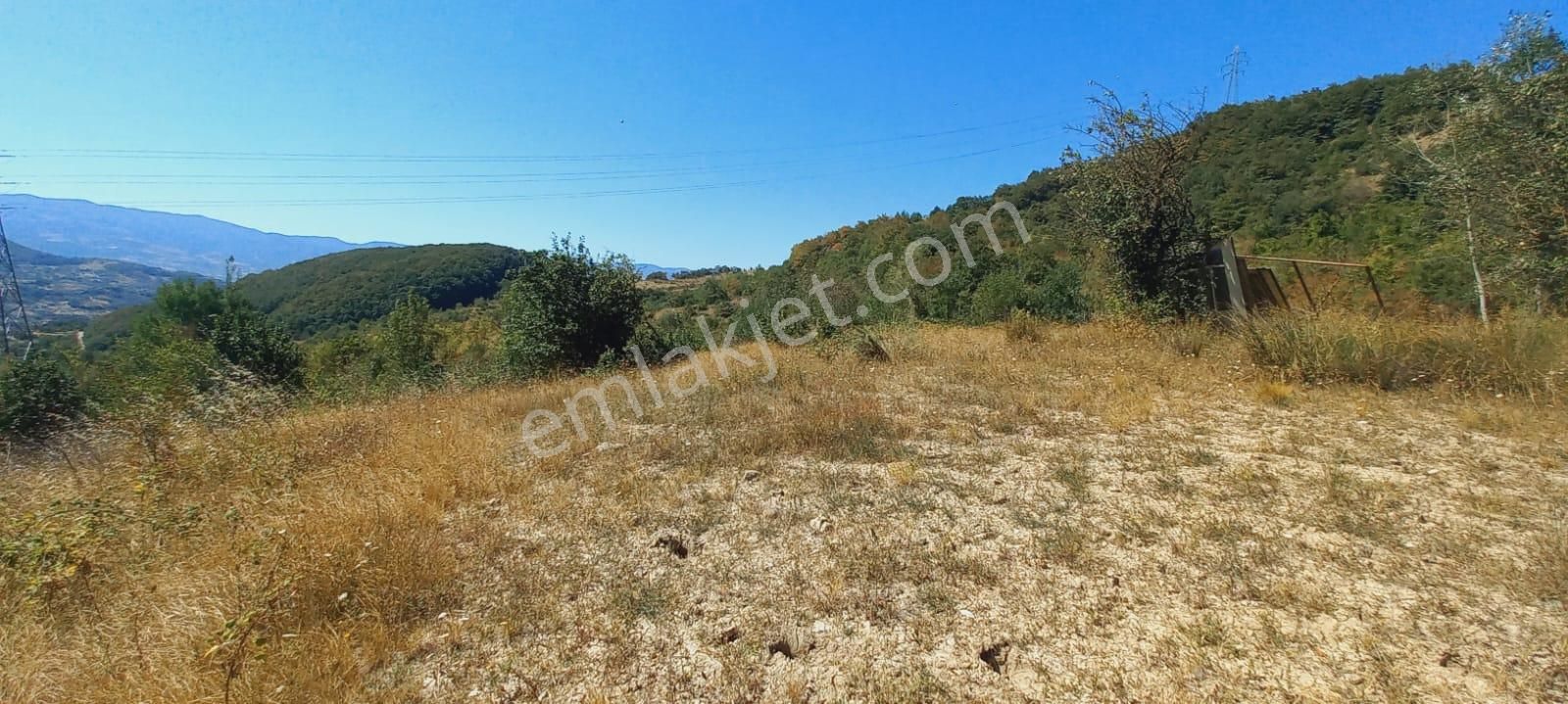 Remax Mavi Erol Çekcan Dan Geyve Bağlarbaşında Satılık Arazi. - Görsel 8