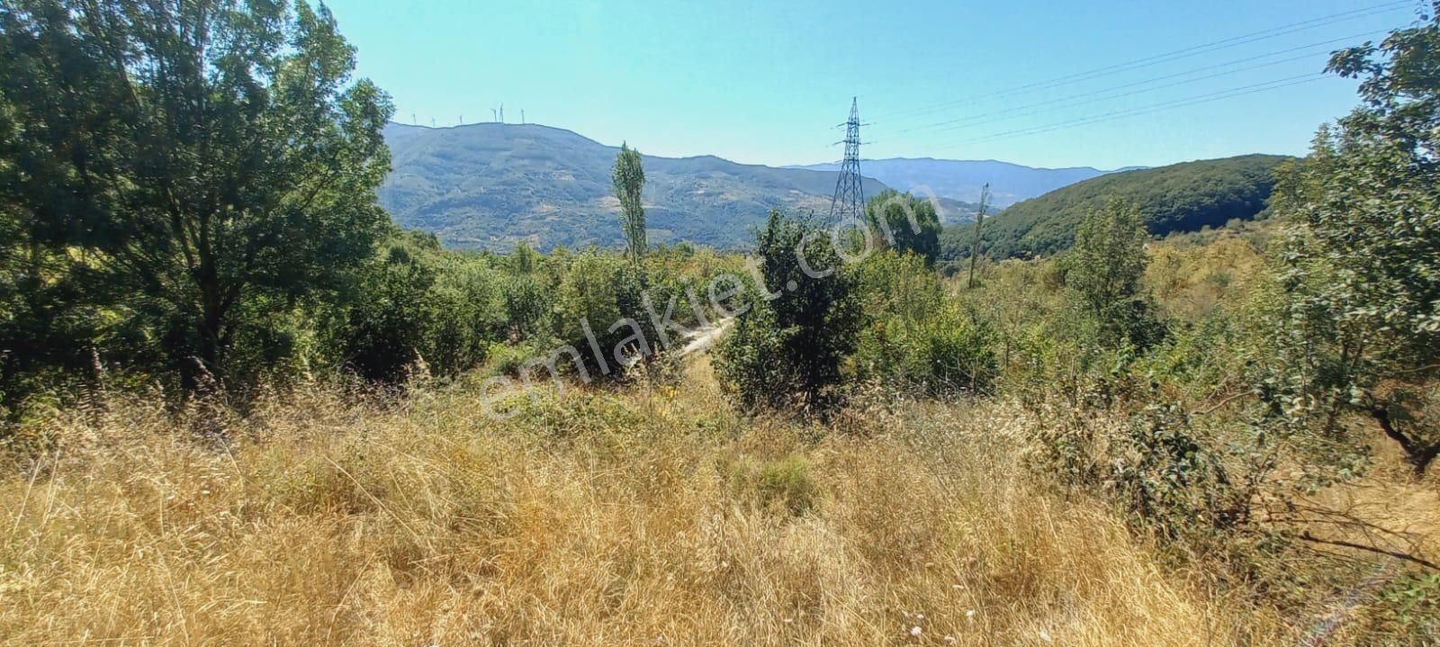 Remax Mavi Erol Çekcan Dan Geyve Bağlarbaşında Satılık Arazi. - Görsel 12