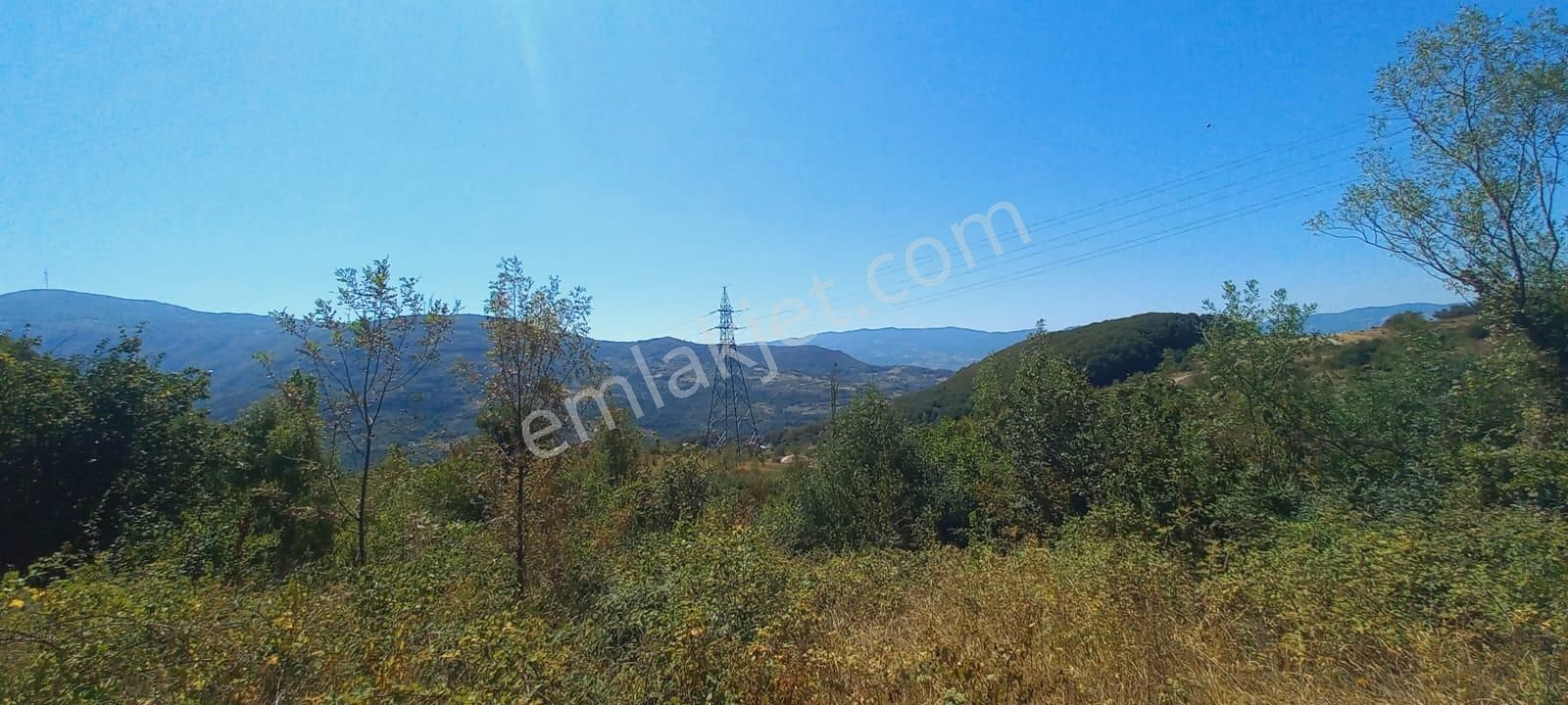 Remax Mavi Erol Çekcan Dan Geyve Bağlarbaşında Satılık Arazi. - Görsel 15