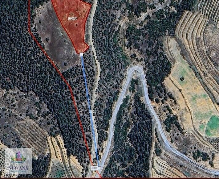 Karacasu'da Araç Takasına Açık Tarla 6.231 M2