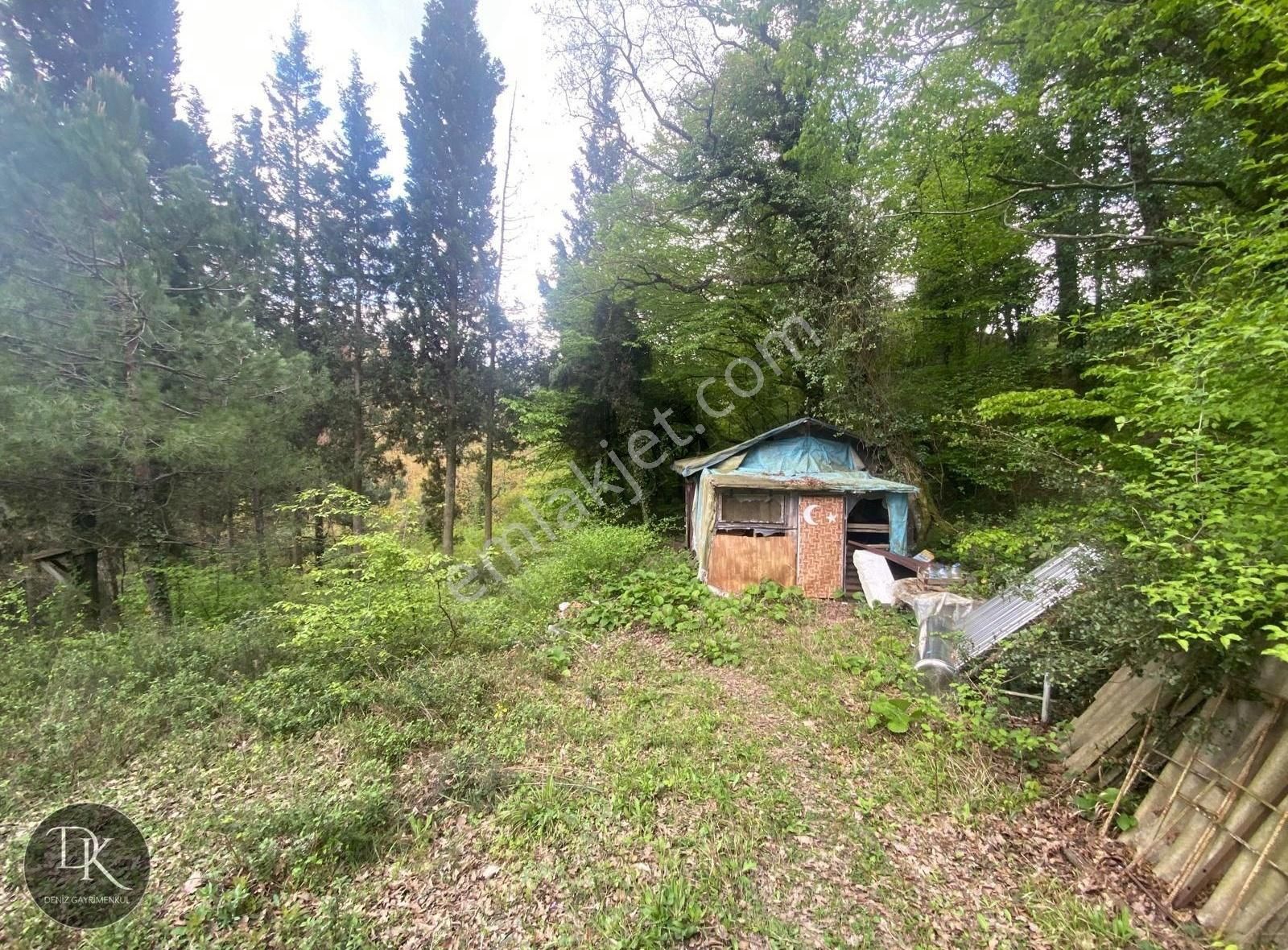 Deniz Gayrimenkul'den Dereköyde 1410m2 Köyiçi Arsa