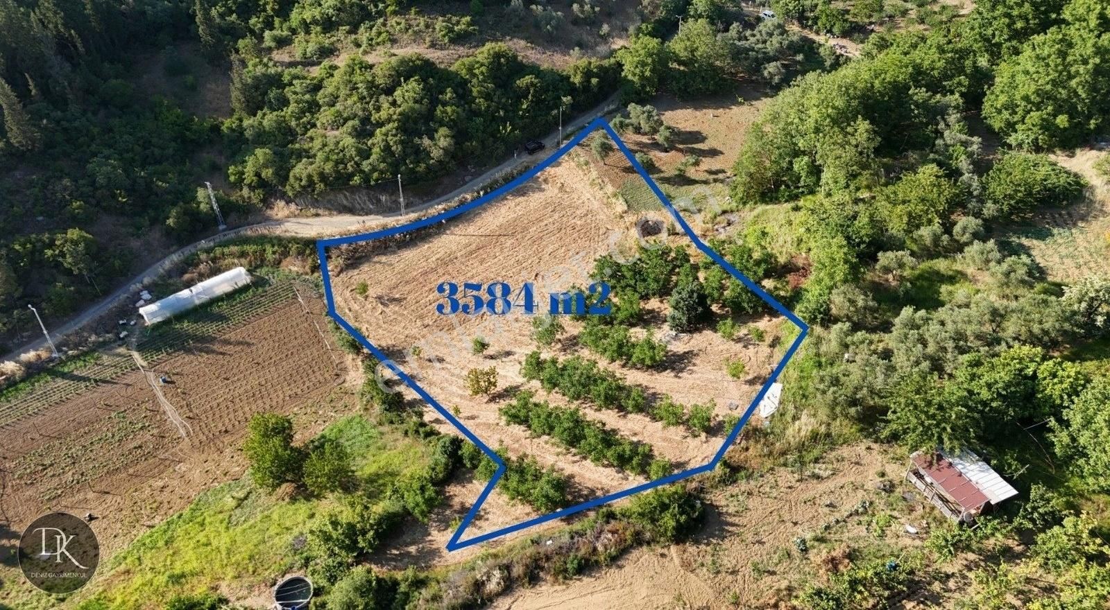 Deniz'den Tepeköy Mahallesinde %5 İmarlı Satılık Tarla