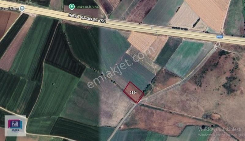 Dialog Adres'ten Bursa Karacabey Çavuş'ta Satılık Tarla