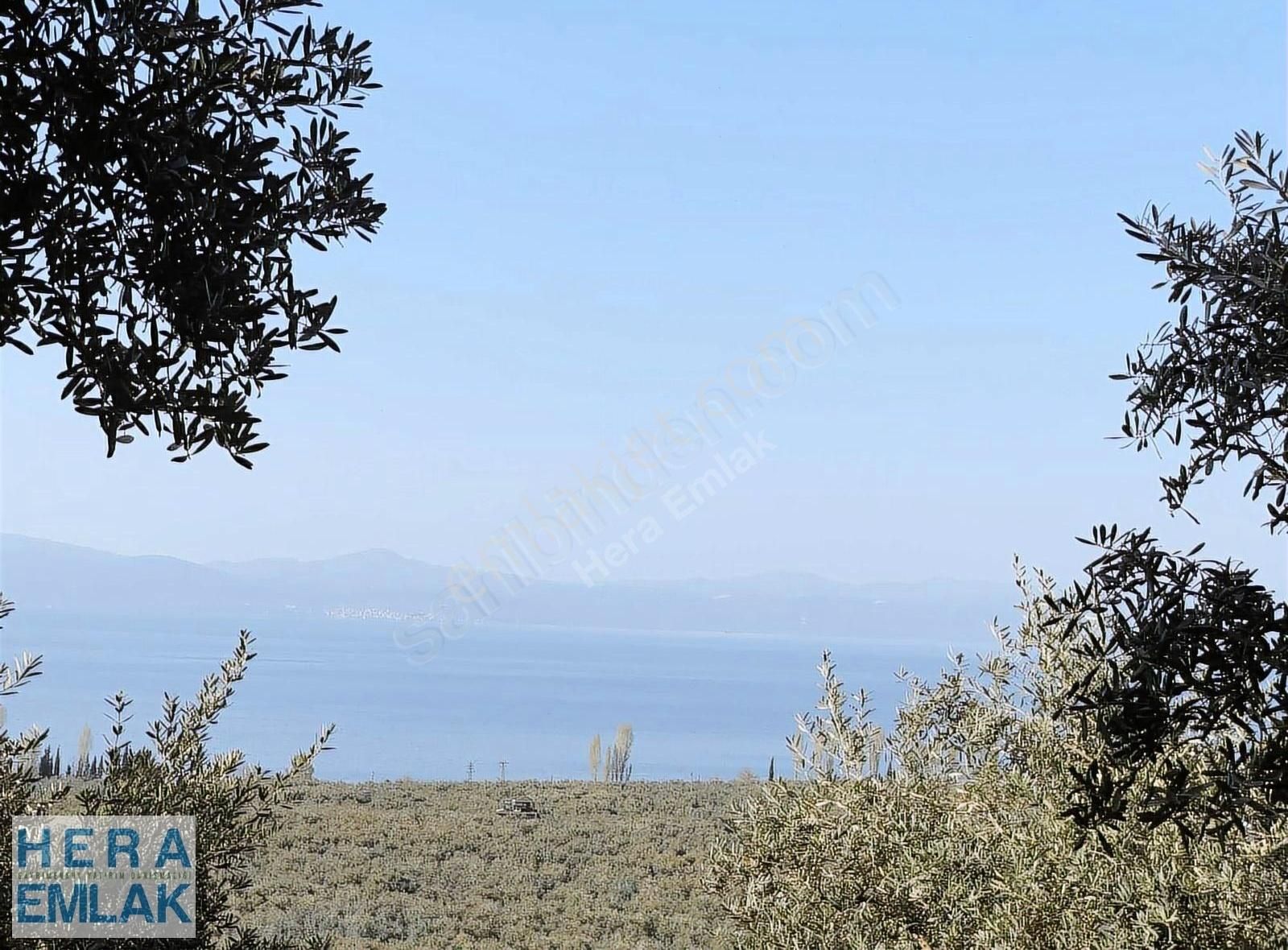 Kelepir 2 Dönüm Bahçe Göl Manzaralı, İznik Gölü 250 Metre Mesafe - Görsel 25